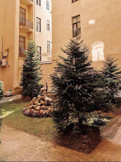 & Functional Apartment Riga